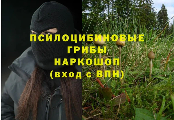 a pvp Заводоуковск