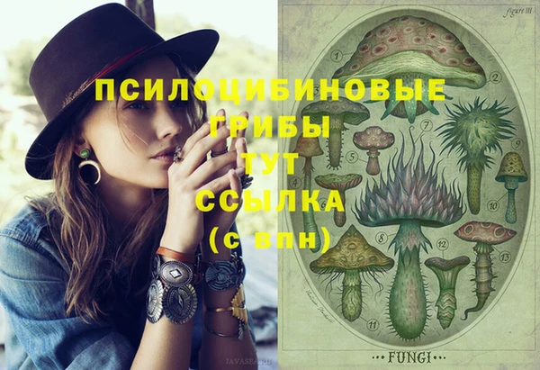 дживик Заволжск