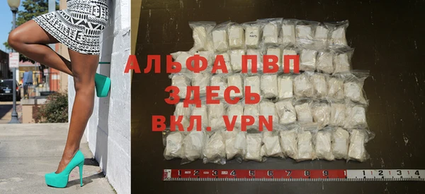хмурый Зеленокумск