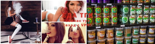 гашик Зерноград