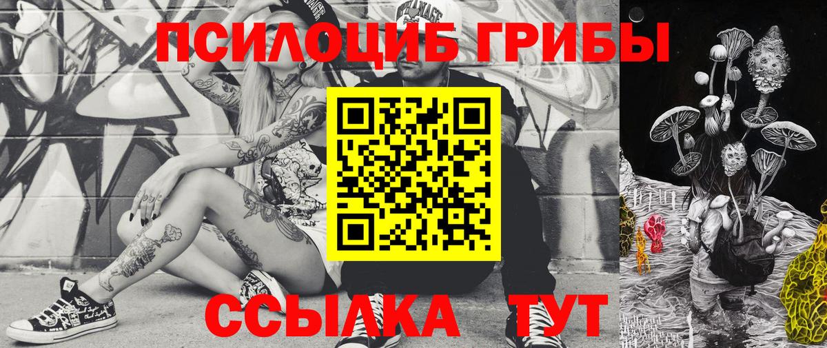 Псилоцибиновые грибы прущие грибы Саянск
