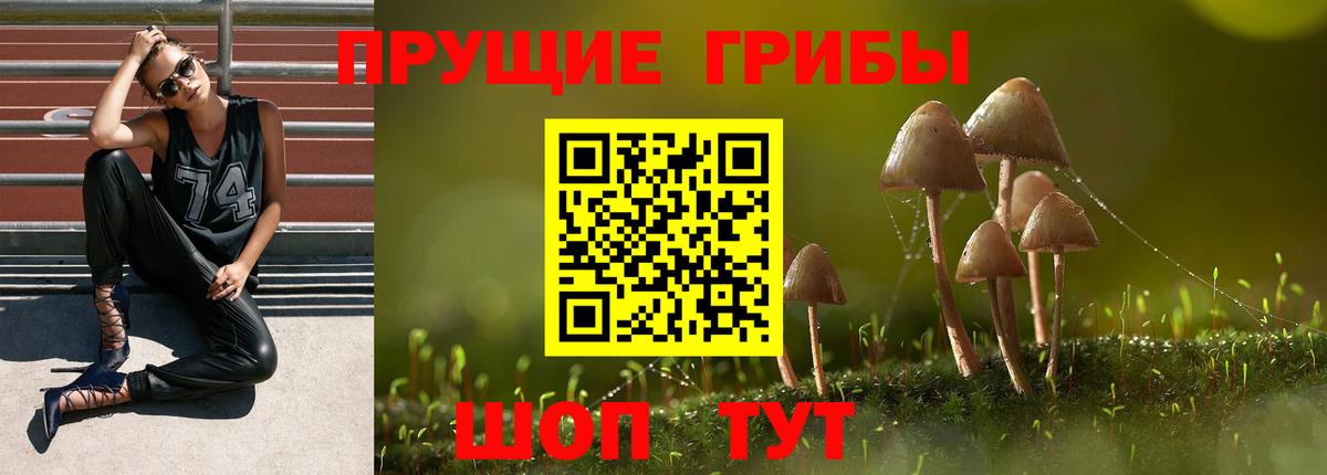 Саянск  где найти   Вход с VPN  Галлюциногенные грибы MAGIC MUSHROOMS 